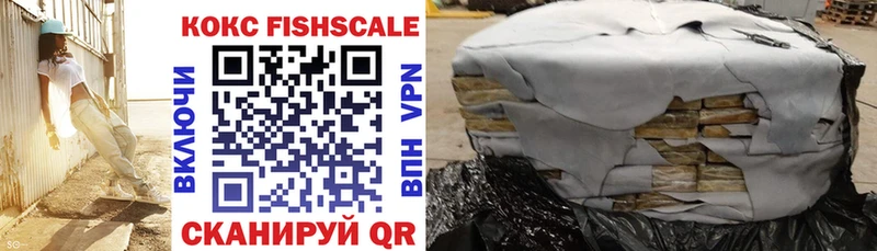 Кокаин FishScale  Купить закладки  Нижние Серги 